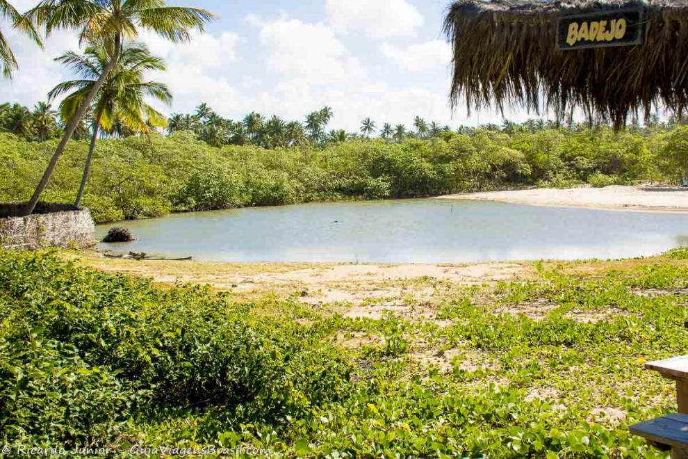 Imagem da vegetação ao lado da piscina natural na Praia Guaiú.